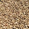 Gambar GREENBEAN KOPI ROBUSTA DAMPIT 1 KG dari KOPI MAHAGADING Kab. Malang 3 Tokopedia