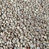 Gambar GREENBEAN KOPI ROBUSTA DAMPIT 1 KG dari KOPI MAHAGADING Kab. Malang 2 Tokopedia