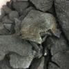 Gambar Arang 1 kg dari bulao toko Kota Bandung 4 Tokopedia