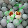 Gambar TELUR ASIN / TELOR ASIN MBOK NOM (asli, langsung dari produsen) dari Toko Susu Hemat Kota Tangerang Selatan 2 Tokopedia