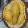 Gambar Durian Bawor Menul Utuh - 4.32 dari Dnd-83 Jakarta Selatan 1 Tokopedia