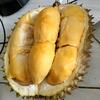 Gambar Durian Bawor Menul Utuh - 4.32 dari Dnd-83 Jakarta Selatan 2 Tokopedia