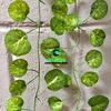 Gambar DAUN RAMBAT DAUN JUNTAI BUNGA PLASTIK DAUN ARTIFICIAL DAUN DEKORASI - 2 Meter dari ikiaces Kab. Karawang 3 Tokopedia