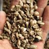 Gambar Greenbean Undergrade/Pixel Robusta Dampit 1Kg dari KOPI MAHAGADING Kab. Malang 1 Tokopedia