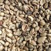 Gambar Greenbean Undergrade/Pixel Robusta Dampit 1Kg dari KOPI MAHAGADING Kab. Malang 2 Tokopedia
