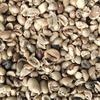 Gambar Greenbean Undergrade/Pixel Robusta Dampit 1Kg dari KOPI MAHAGADING Kab. Malang 3 Tokopedia