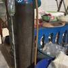 Gambar Ikan Nila segar hidup fresh - 1KG dari N'CEX AQUATICS Jakarta Timur 3 Tokopedia