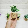 Gambar Pajangan Rumputtiga Pot Mini Burlap Kecil Pajangan Unik Cantik - sekulen dari Dunia Handycraft OLS Jakarta Utara 2 Tokopedia