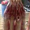 Gambar DAGING KAMBING MUDA FRESH dari abo hussain Jakarta Timur 3 Tokopedia