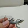 Gambar mainan karet cicak reptil ecer dari uniquevisualshop Jakarta Barat 2 Tokopedia
