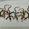 Gambar mainan karet cicak reptil ecer dari uniquevisualshop Jakarta Barat 3 Tokopedia