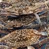 Gambar KEPITING RAJUNGAN SEGAR 1.0kg dari Hello Cell & Distro Kota Bandung 3 Tokopedia