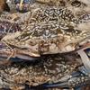 Gambar KEPITING RAJUNGAN SEGAR 1.0kg dari Hello Cell & Distro Kota Bandung 2 Tokopedia
