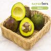 Gambar Alpukat Mentega Conventional 1 kg (Sayurbox) - BALI dari Sayurbox Bali Kota Denpasar 1 Tokopedia