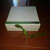 Gambar BOX KADO ULANG TAHUN dari UAV Jakarta Selatan 2 Tokopedia