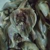 Gambar Daging puyuh karkas dari www.AuliaNeka Kota Bekasi 1 Tokopedia