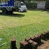 Gambar jual rumput taman ngawi rumput gajah mini rumput jepang rumput golf dari rumput gajah mini 10rb Kab. Malang 3 Tokopedia