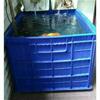 Gambar BOX CONTAINER 200 Liter HANATA 3101 / Kolam Ikan Kura Kura dari RajaPerabot88 Jakarta Utara 2 Tokopedia