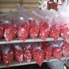 Gambar Bunga Tabur Makam - Bunga Tabur dari Rainbow Florist Jakarta Barat 1 Tokopedia