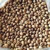 Gambar Green Bean Peaberry / Kopi Lanang Robusta Malang dari KOPI MAHAGADING Kab. Malang 4 Tokopedia