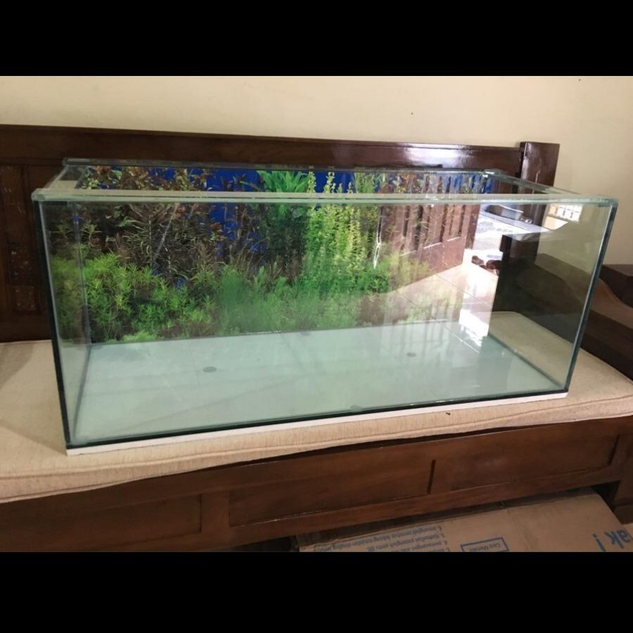 Aquarium Hewan Harga Terbaik Hobi Koleksi Agustus 2021 Shopee Indonesia Aquarium Hewan Harga Terbaik Hobi Koleksi Agustus 2021 Shopee Indonesia