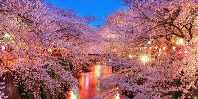 Banner 1