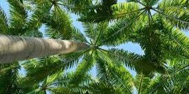 Banner 1