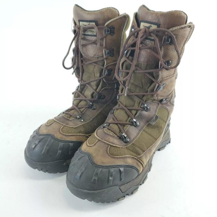 Jual Aneka Irish Setter Terlengkap Harga Murah Oktober 2025