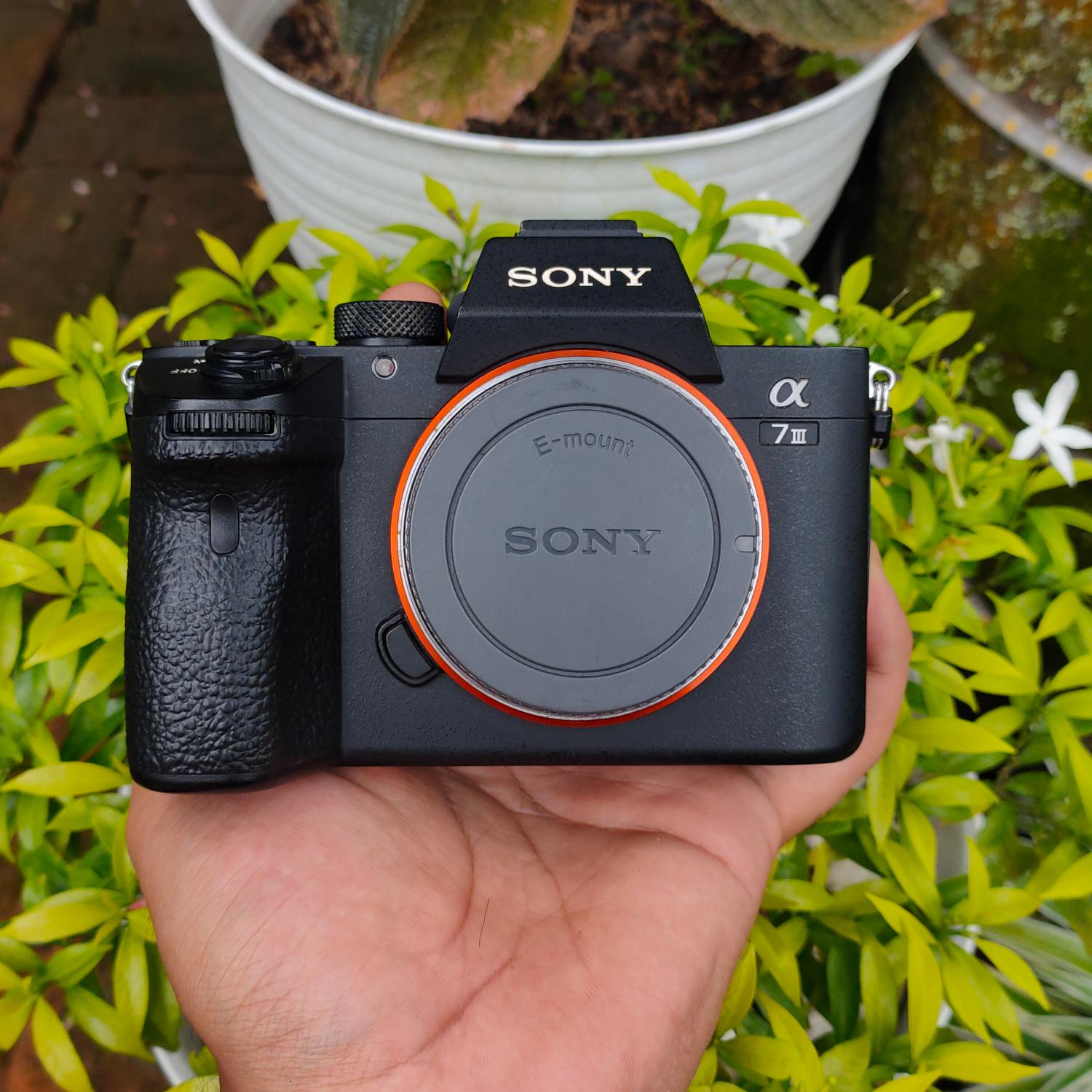 Sony A7s Sony A7r Iii Second Hand Jual Kamera Mirrorless Sony A7s