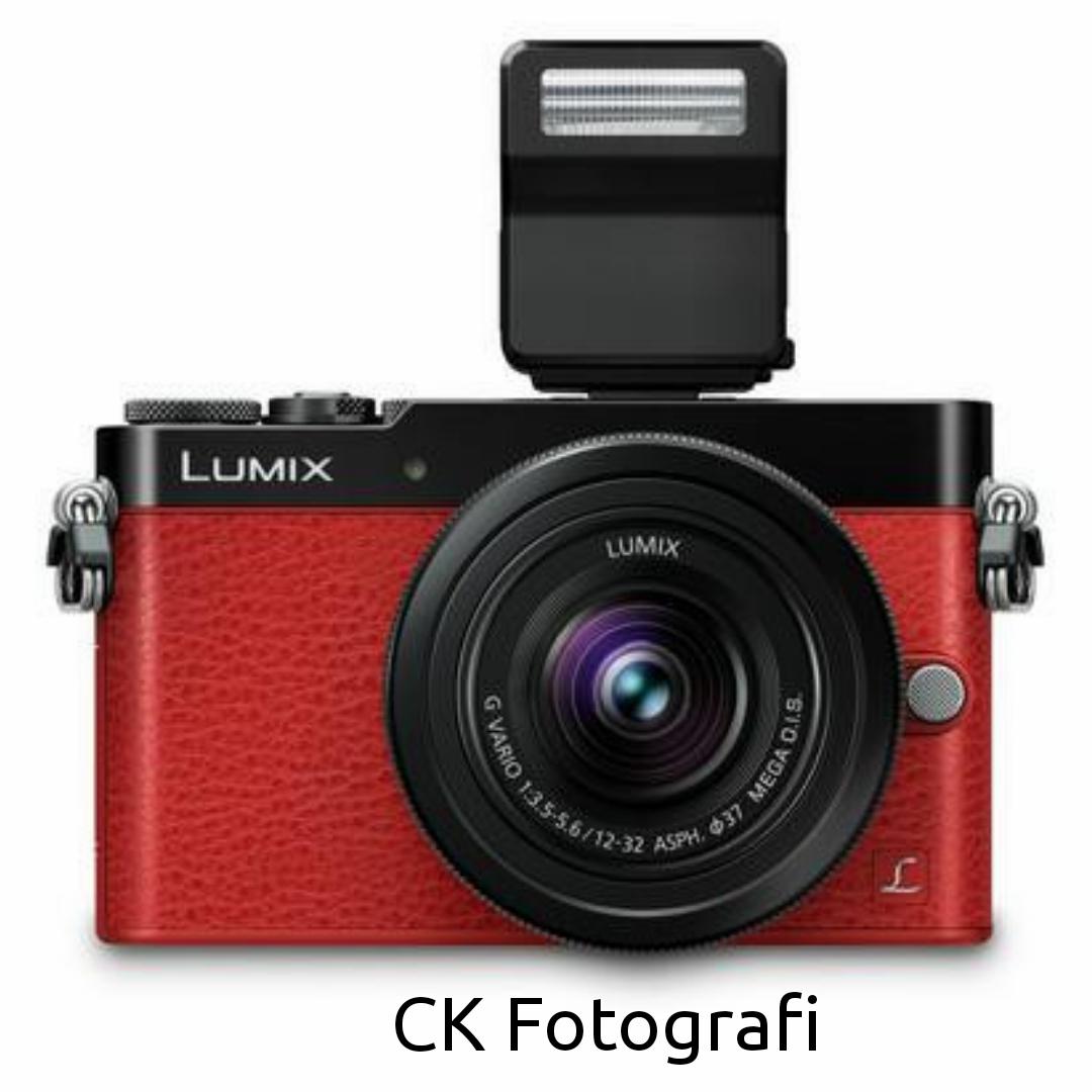 パナソニック DMC-GM5 新品交換レンズ アイカップ、64GB SD付き