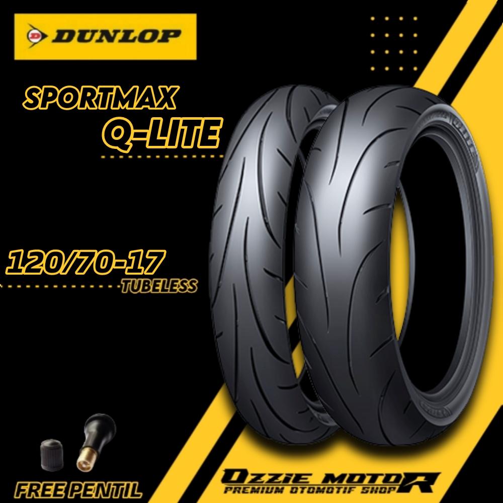 パークゴルフ クラブ DUNLOP SPG-303 ダンロップ (P1897aatnY) パークゴルフ クラブ DUNLOP SPG-303 ダンロップ (P1897aatnY)