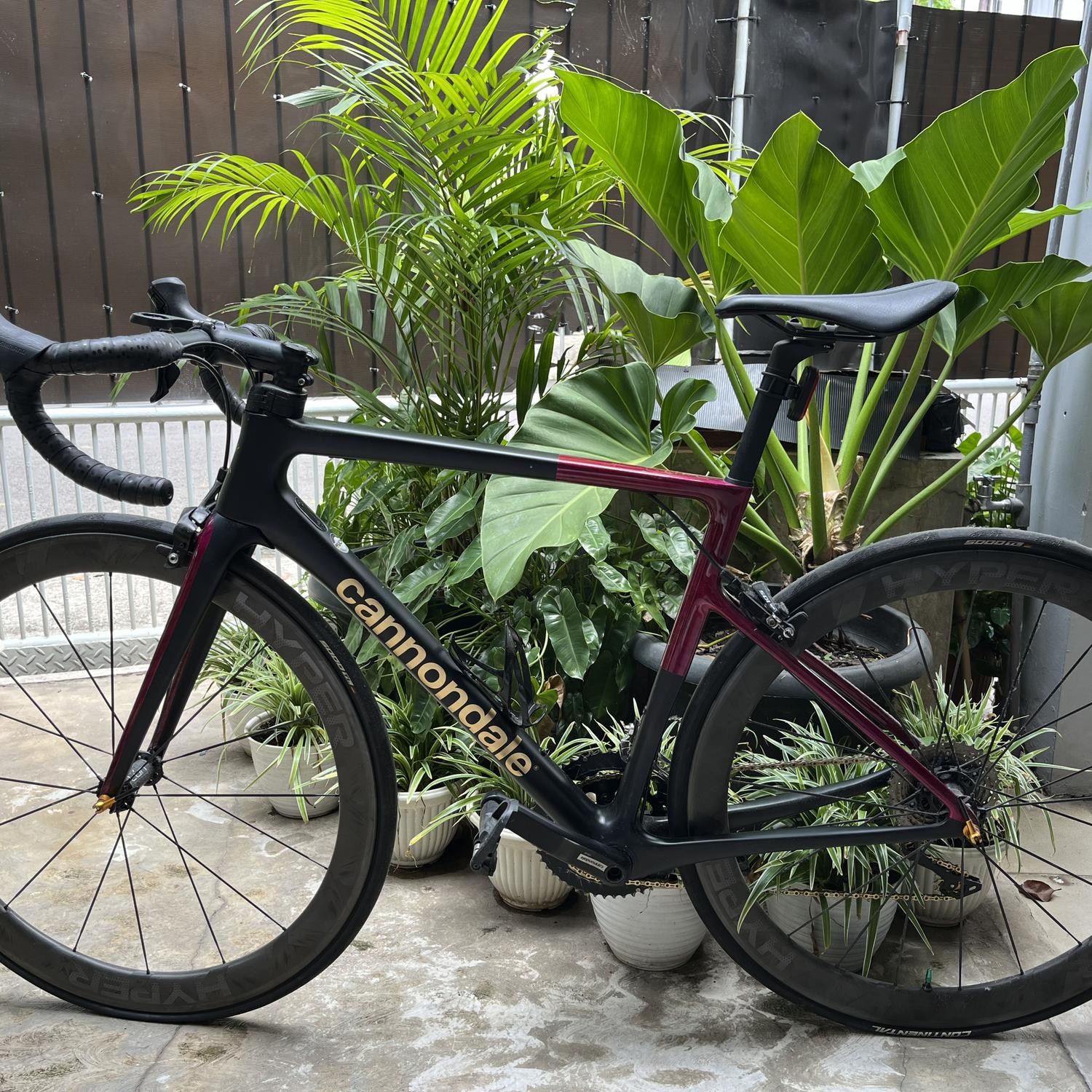 Bicycle Harga S Work Sl6 Disc S Works Velo Harga Specialized