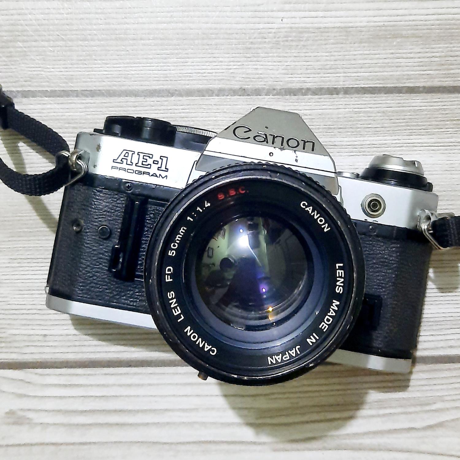 美品 AE-1 PROGRAM + FL50mm F1.8 + フィルター 美品 AE-1 PROGRAM + FL50mm F1.8 + フィルター キャノン Canon AE-1 +