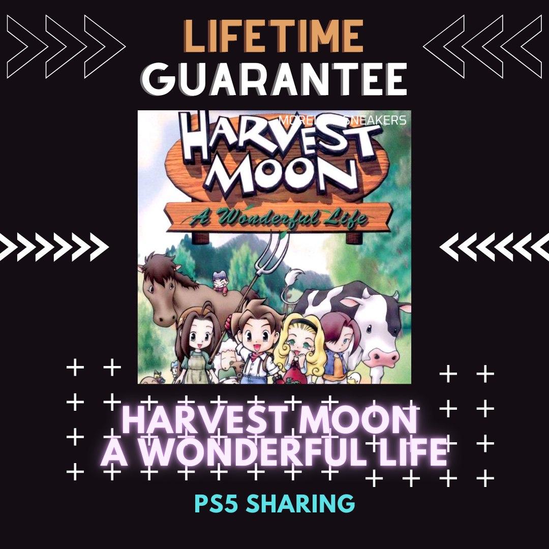 牧場物語 Oh! ワンダフルライフ オフィシャル ハッピーガイド 攻略本