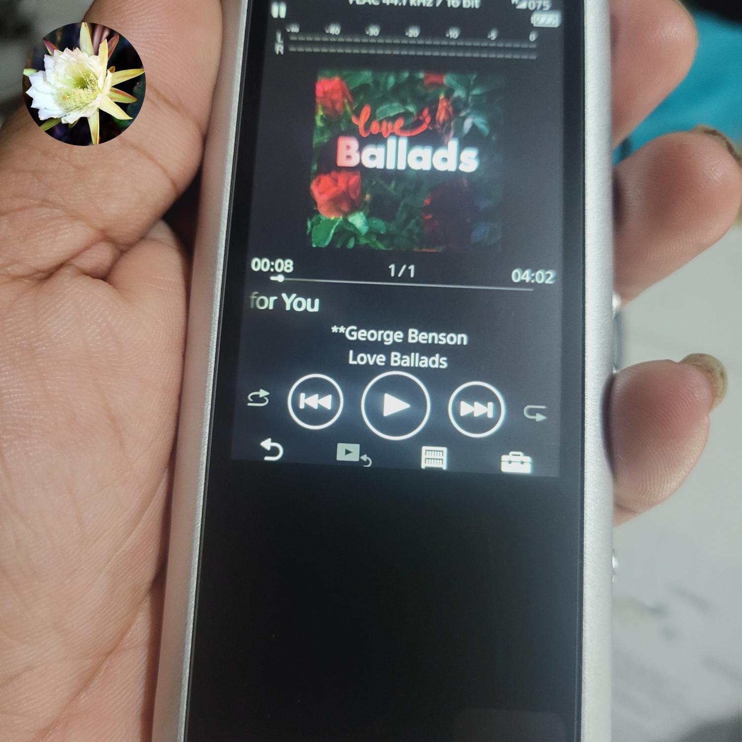 超貴重品！新品未開封品！SONY NW-ZX300 Silver 騙