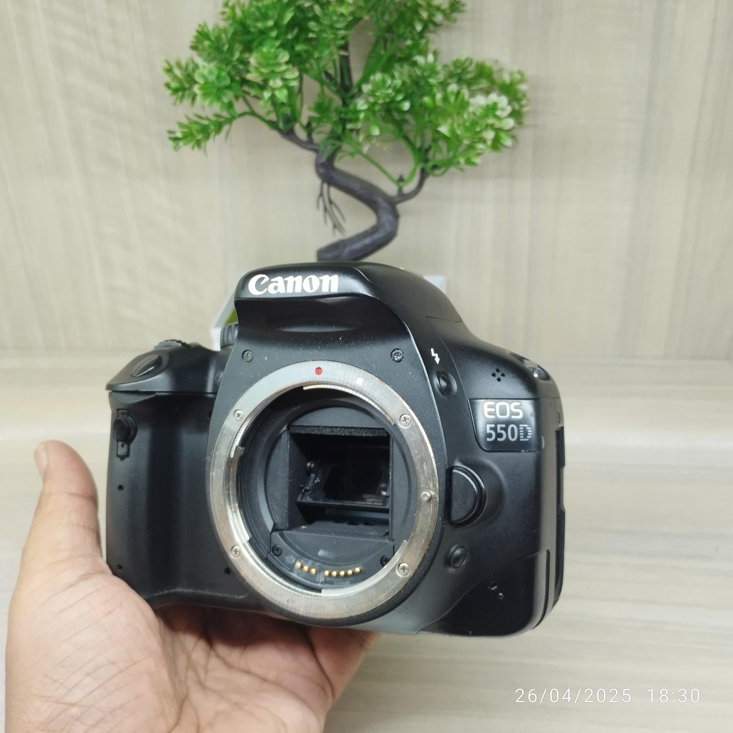 Canon 550d Canon Rebel T2i Lenses Introduction To The Canon Rebel