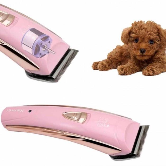 Jual Pet Clipper Sonar Terlengkap Terbaik Harga Murah Oktober