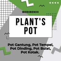 pot