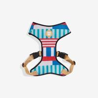 ZEE DOG Collar Leash Bed etc
