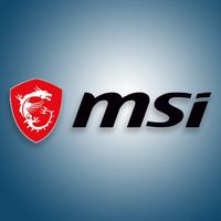 MSI