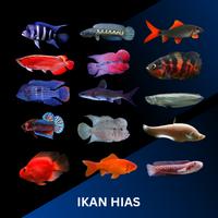 IKAN HIAS