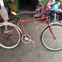 Jual Sepeda Gunung Mtb Bekas Terbaik 