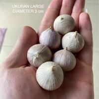 Jual Bawang Putih Tunggal Murah - Harga Terbaru December 2021