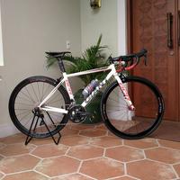 Jual Giant Scr Terbaik - Harga Murah 