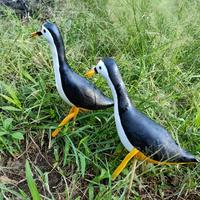 Jual Burung Ruak Ruak Contoh Lif Co Id