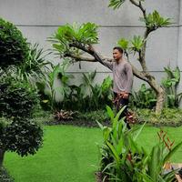 Jual Rumput Sintetis Di Bogor | Rumput Sintetis Murah Tipe Swedia 3 cm