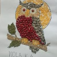 80 Gambar Burung Hantu Hitam Putih Untuk Kolase Terbaik