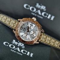 Jual Jam Tangan Wanita Coach Original Model Desain Terbaru Harga November 2021