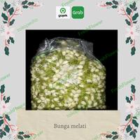 bunga melati asli fresh
