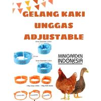 440 Koleksi Gambar Kaki Unggas HD Terbaik